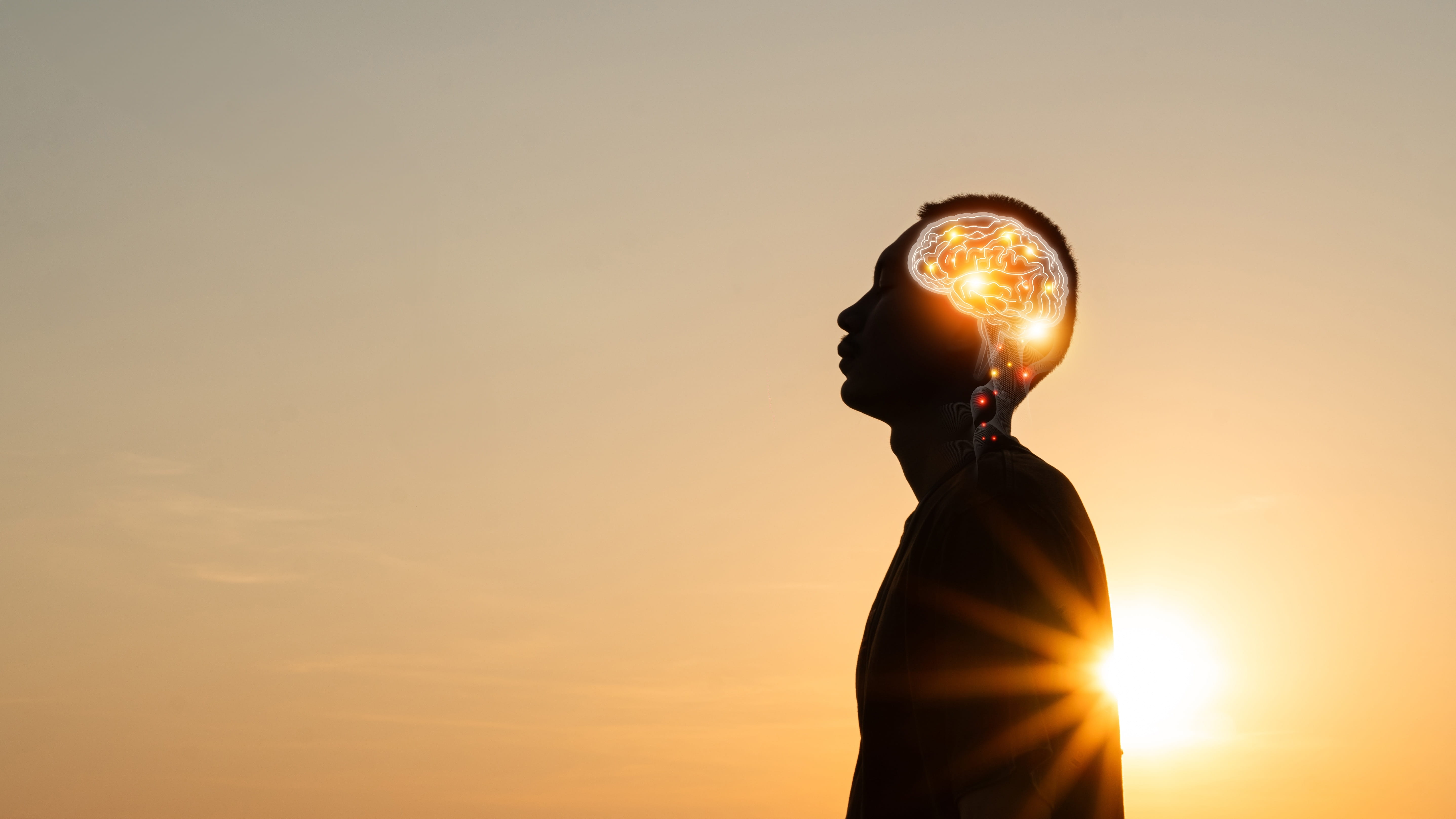 Silhouette of a person at sunset with a glowing brain illustration, representing mental clarity and nervous system recovery through the Adelaide Club Whole Life Health Program